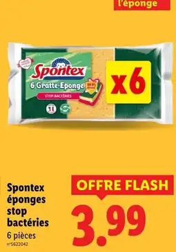 Lidl Spontex Éponges stop bactéries offre