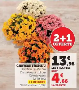 Maximarché Chrysantheme u offre