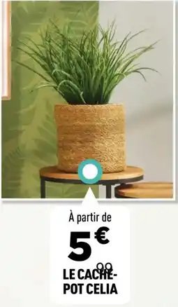 Centrakor Le cache pot celia offre