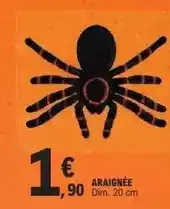 E.Leclerc Dim - araignée offre