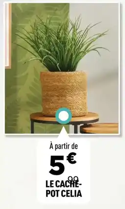 Centrakor Pot celia offre