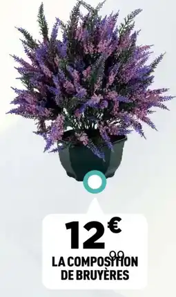 Centrakor La composition de bruyères offre