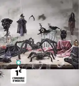 Centrakor L'ensemble d'insectes offre
