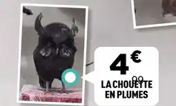 Centrakor La chouette en plumes offre