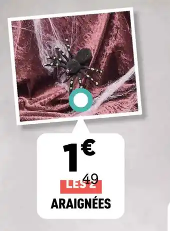 Centrakor Les 2 araignées offre