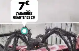 Centrakor L'araignée géante offre