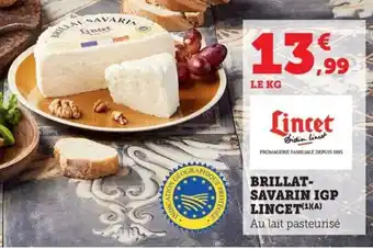 Maximarché LINCET Brillat- savarin igp offre