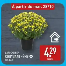 ALDI GARDENLINE CHRYSANTHÈME offre