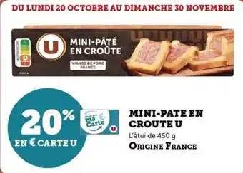 Super U Mini-pâté en croûte u offre