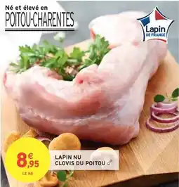 Intermarché Lapin nu clovis du poitou offre