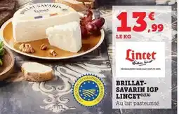 Bi1 Lincet - brillat- savarin igp offre