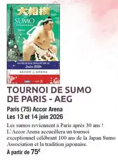 Carrefour Market Arena - tournoi de sumo de paris aeg offre