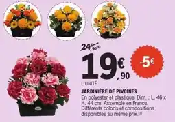 E.Leclerc Dim - jardinière de pivoines offre