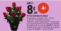 E.Leclerc Dim - pot de boutons de roses offre