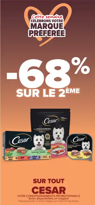 CESAR Sur tout