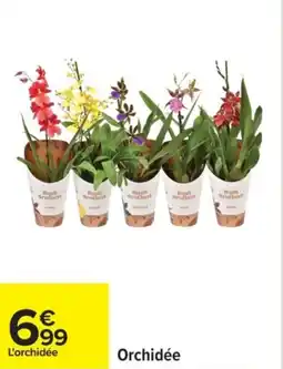 Carrefour Orchidée offre