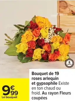 Carrefour Bouquet de 19 roses arlequin et gypsophile offre