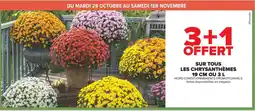 Carrefour Sur tous les chrysanthèmes 19 cm ou 3l offre