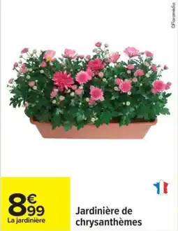 Carrefour Jardinière de chrysanthèmes offre