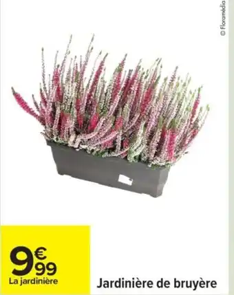 Carrefour Jardinière de bruyère offre