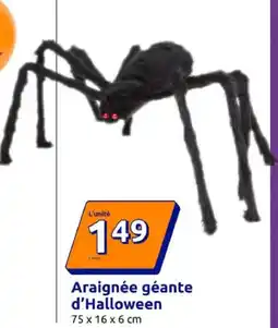Action Araignée géante d'halloween offre