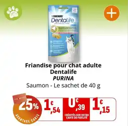 Coccinelle Supermarché Friandise pour chat adulte dentalife purina offre
