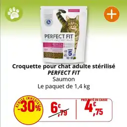 Coccinelle Supermarché Croquette pour chat adulte stérilisé perfect fit offre