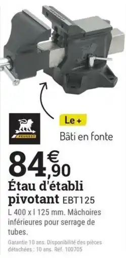 Espace emeraude PEUGEOT Étau d'établi pivotant EBT125 offre