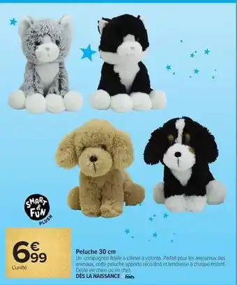 Carrefour Market Peluche offre