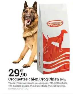 Espace emeraude CROQUETTE CHIEN Croquettes chien offre