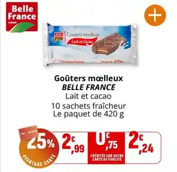 Coccinelle Supermarché BELLE FRANCE Goûters moelleux offre