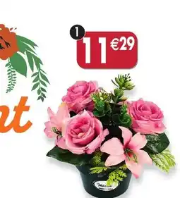 Maximo | Pot de roses, lys et cactées offre