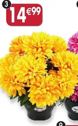 Maximo Pot de chrysanthèmes. Coloris jaune offre