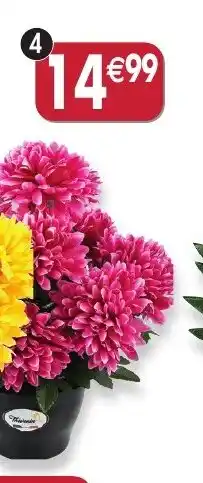 Maximo Pot de chrysanthèmes coloris violet offre