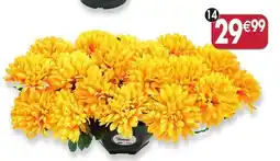 Maximo Coussin de chrysanthèmes coloris jaune offre