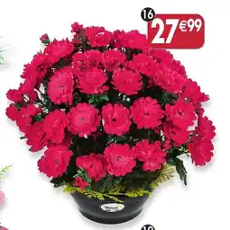 Maximo Coupe de mini chrysanthèmes coloris rouge offre