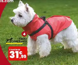 Animalis CROCI CANIFRANCE MANTEAU TOM CORAIL offre