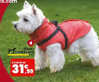 Animalis CROCI CANIFRANCE MANTEAU TOM CORAIL offre