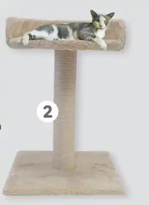 Animalis LEEBY GRIFFOIR TIGROU offre