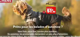 Animalis Croci MANTEAU TOUR offre