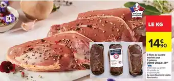 Carrefour Drive Canard - 3 filets de surgelées offre
