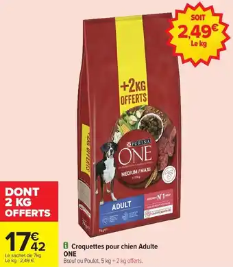 Carrefour Market Croquettes pour chien adulte one offre