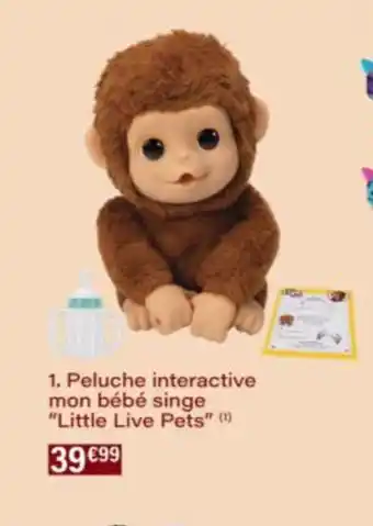 Monop' Peluche interactive mon bébé singe Little Live Pets offre