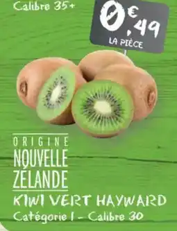 G20 Kiwi vert hayward offre