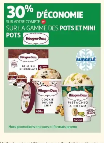 Auchan Sur la gamme des pots et mini pots offre