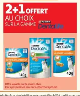 Auchan PURINA DENTALIFE Sur la gamme offre