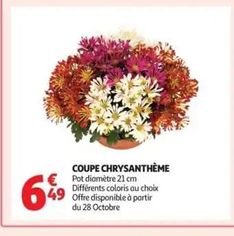 Auchan Coupe chrysanthème offre