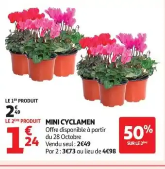 Auchan Mini cyclamen offre