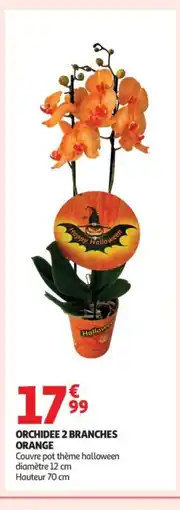 Auchan Orchidee 2 branches orange offre