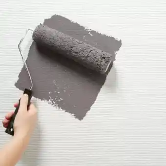 Brico Dépôt Brenner - fibre de verre offre